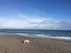 In Strandnähe