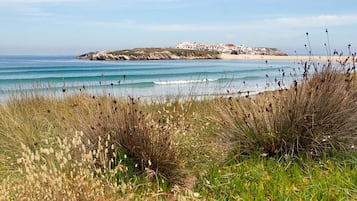 A coastal landscape with a beach, grassy dunes, and a building complex on a hill.