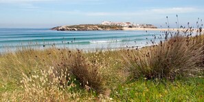 A coastal landscape with a beach, grassy dunes, and a building complex on a hill.