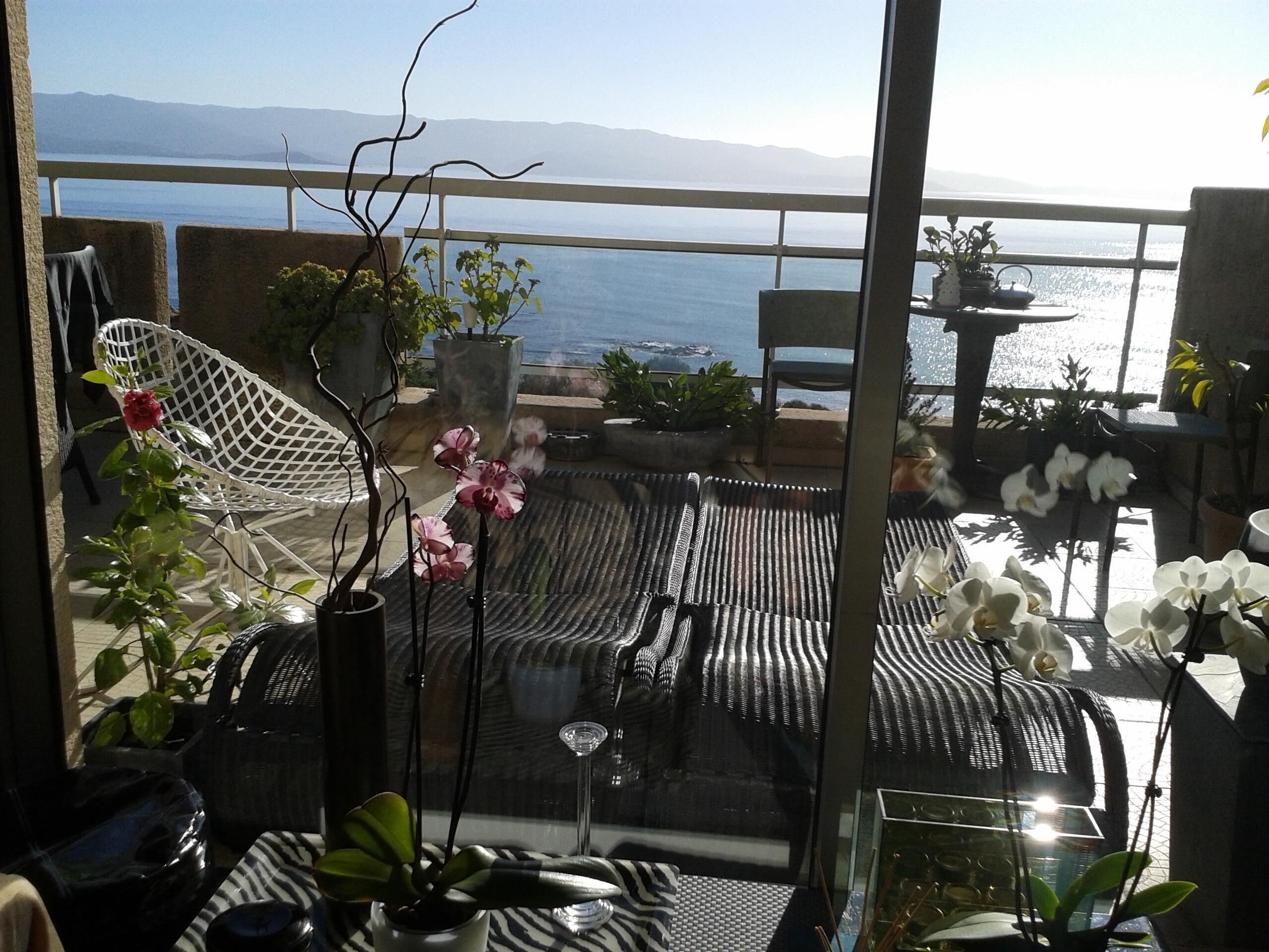 Apartment/ flat - Ajaccio