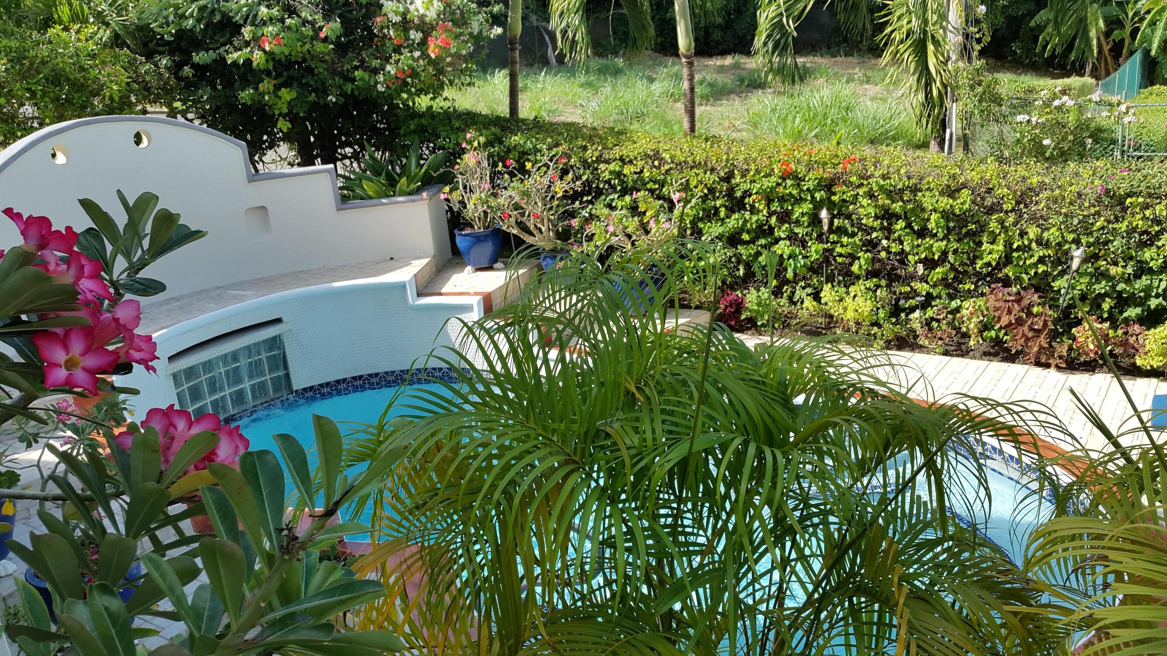 A pool area with a white poolside and surrounding lush greenery.
