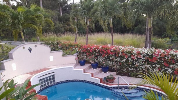 Ein Swimmingpool mit gefliestem Rand, umgeben von Kübelpflanzen und verschiedenen blühenden Büschen.