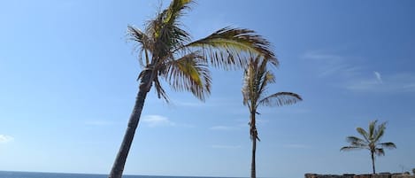Beach towels