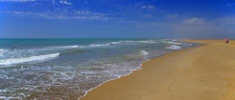 Beach nearby, sun loungers