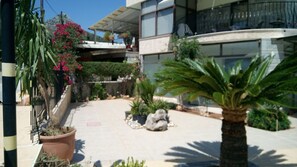 A courtyard with potted plants, a palm tree, and a stone pathway.