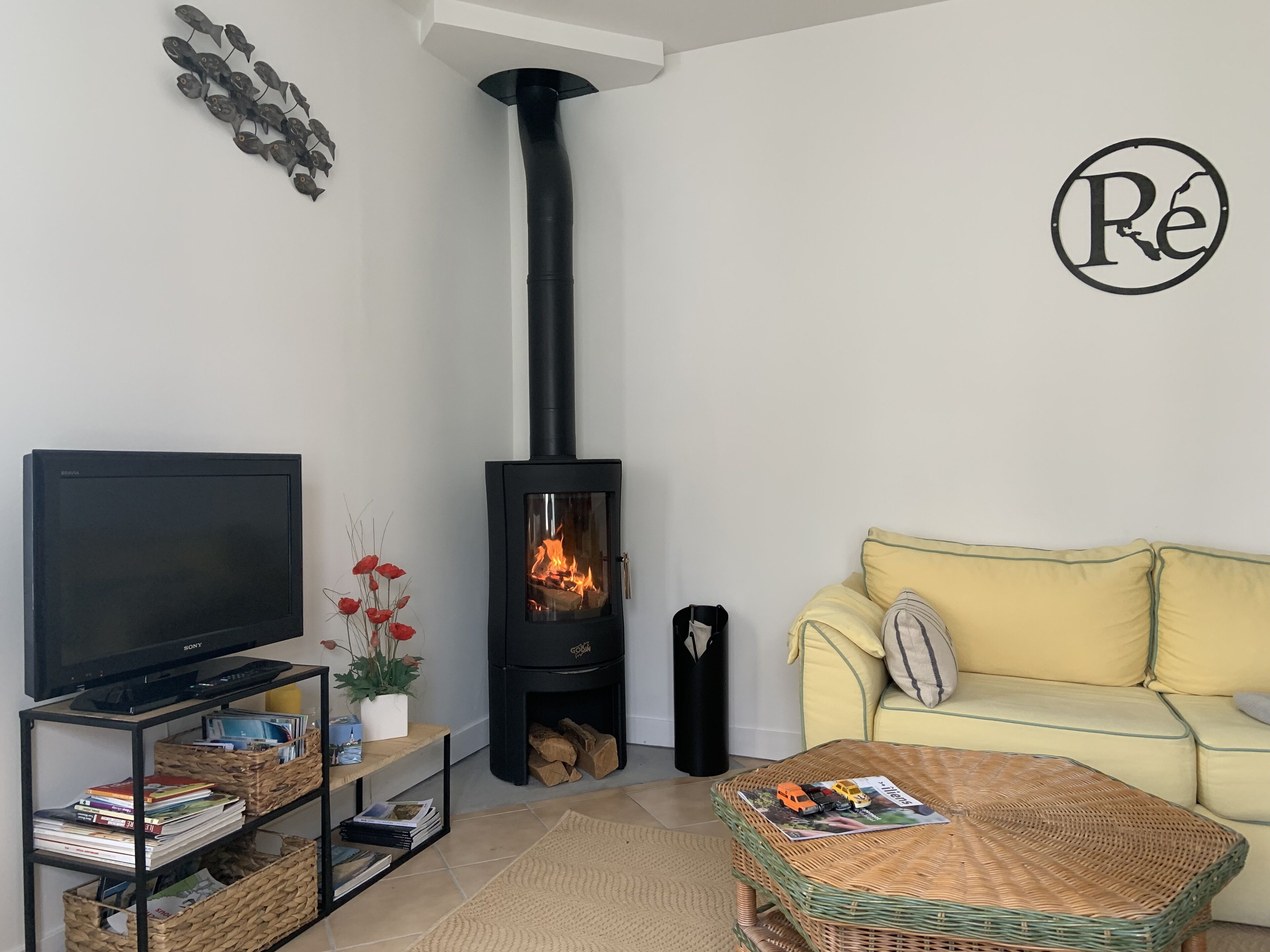 تلفزيون، مدفأة، كُتُب، ستيريو