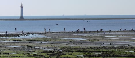 Vlak bij het strand, ligstoelen aan het strand