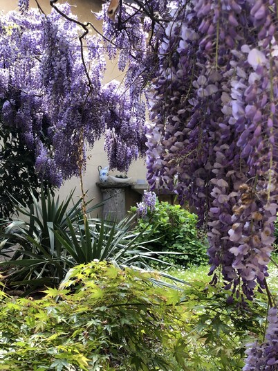 Elegant rustic flower house with large garden
