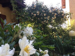 Detall de l'exterior