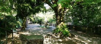 Ah33 - Double or Twin Studio with Balcony - University and Historic Center 