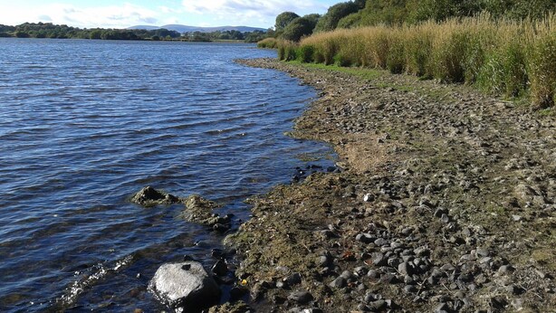 A rocky shoreline with calm water, surrounded by greenery and distant hills. - Beautiful, detatched 300 year old, fully renovated cottage with country views (Perth & Kinross)
