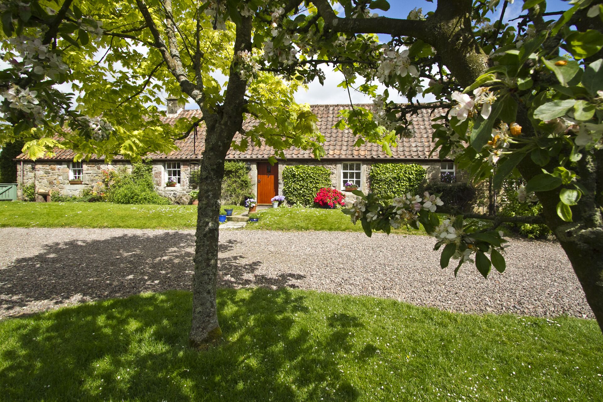 Beautiful, detatched 300 year old, fully renovated cottage with country views