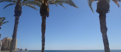 靠近海滩
