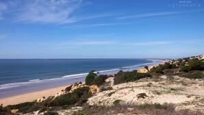 A coastal landscape with a beach, vegetation, and a clear sky.
