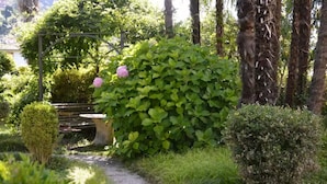 A garden with a gravel path, a bench, and a large bush with pink flowers. - Apartment with private Italian-style garden, a few steps from the lake. (Bellagio)