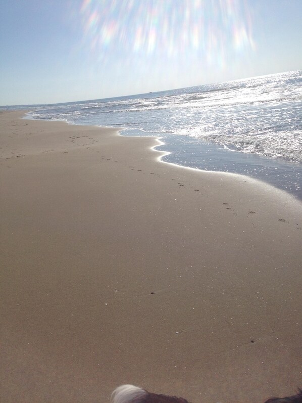 Tæt på stranden