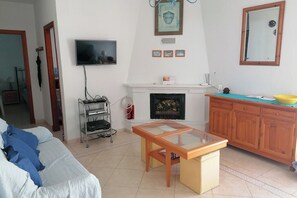 TV connectée, cheminée, lecteur de DVD, livres