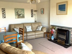Smart TV, DVD player, books, video library
