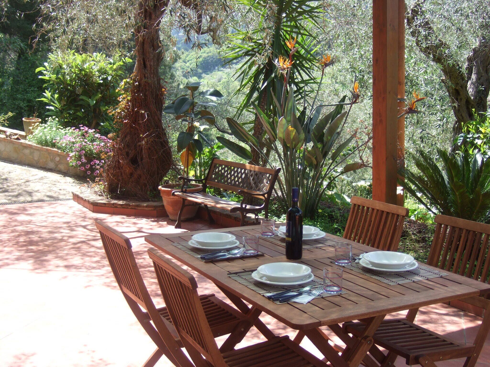 Mesa de madera al aire libre dispuesta para comer, con sillas, rodeada de abundante follaje y un banco.