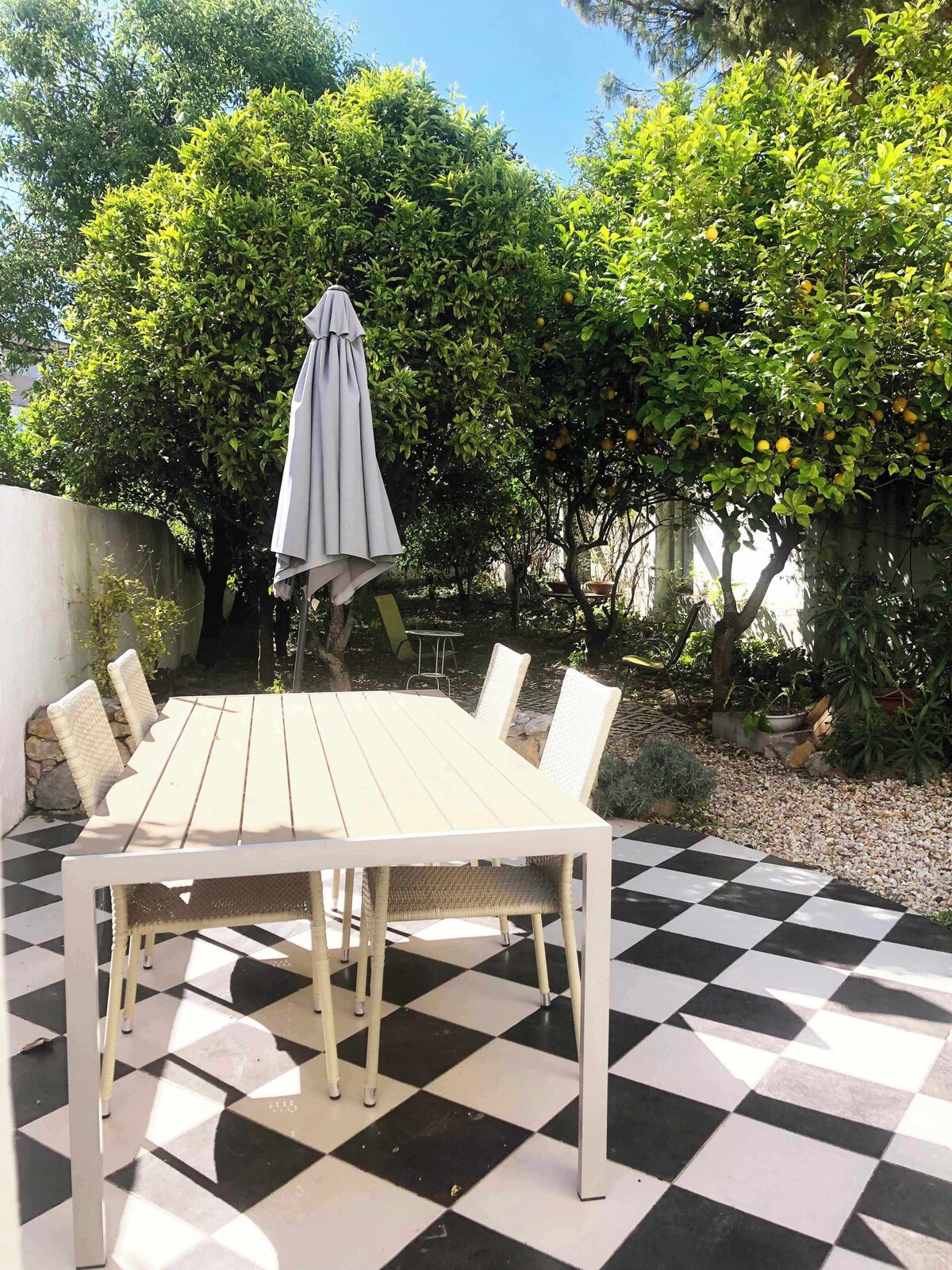 Imagen de perfil del propietario o de la propietaria