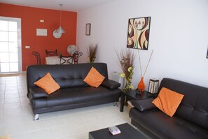 TV, DVD player, books, video library