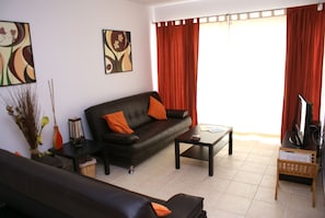 Televisión, reproductor de DVD, libros y videoteca