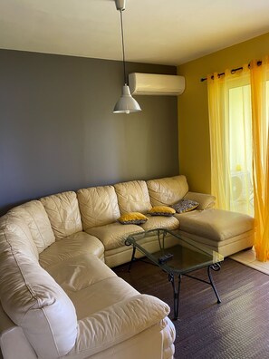 TV, lareira, DVD player, livros