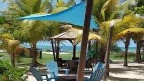 A beachside setting with a table and chairs under a blue canopy, surrounded by palm trees. - Luxury residence on plage des raisins clairs in saint-francois (Saint-François)