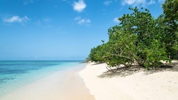 A beach with clear turquoise water, white sand, and lush green trees. - Luxury residence on plage des raisins clairs in saint-francois (Saint-François)