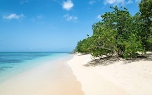 A beach with clear turquoise water, white sand, and lush green trees.