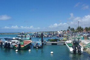 Marina