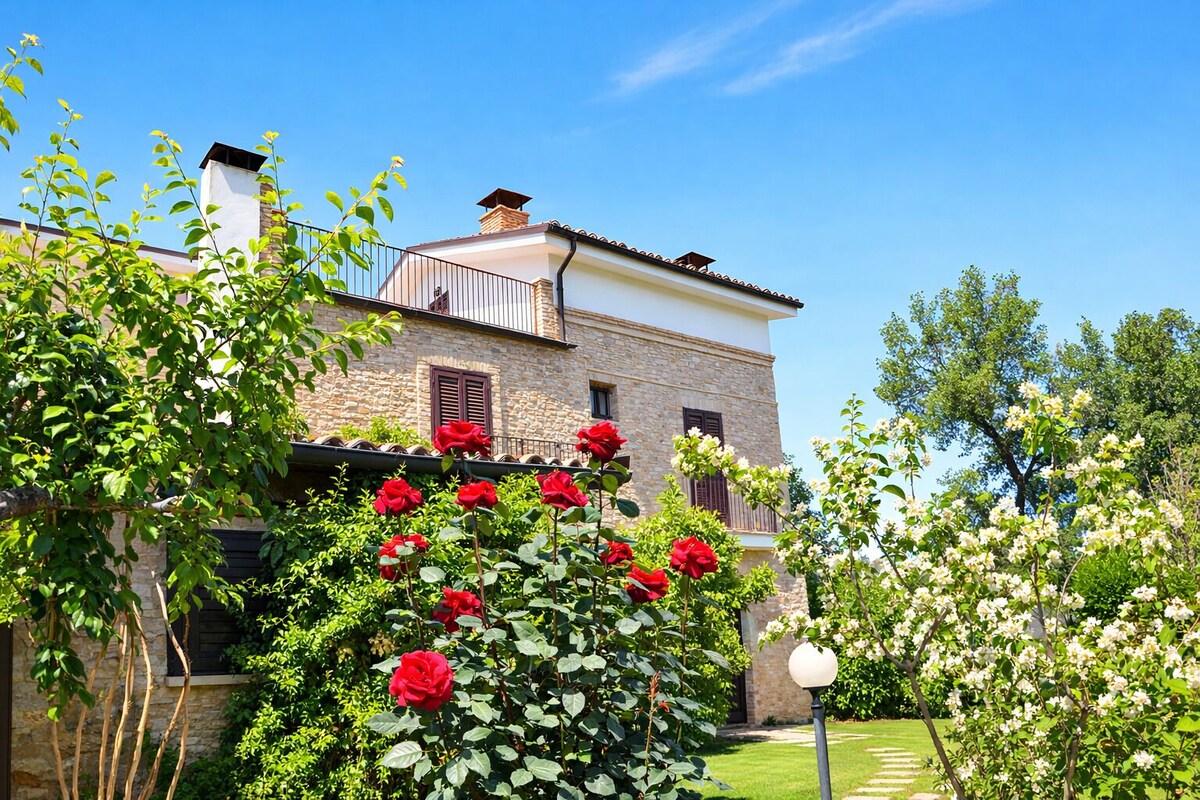 Image de profil de l’hôte