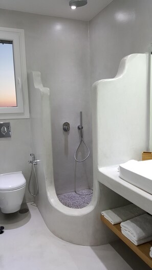 Combined shower/tub, hair dryer, bidet, towels