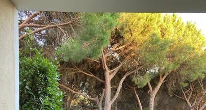 Large lux apt for 6, Ste-Maxime-Saint-Tropez,Var,pool,quiet,secured