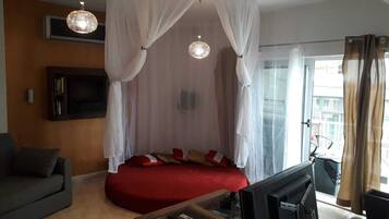 TV, fireplace, DVD player, books