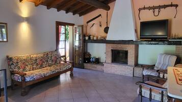 Fernseher, Kamin, DVD-Player, Stereoanlage