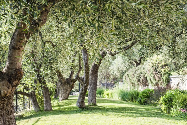 Overnattingsstedets uteområder