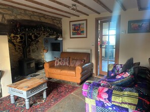 Smart TV, fireplace, DVD player, books