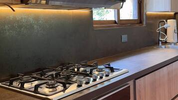 Frigorífico, microondas, horno y placa de cocina