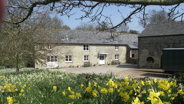 A stone building with a paved driveway and a garden of yellow daffodils in the foreground.