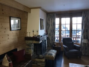 TV, fireplace, DVD player, books
