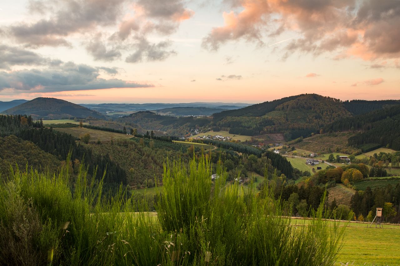 Una vista panorámica de un valle con colinas ondulantes, casas dispersas y bosques densos.