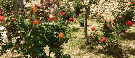 A garden with various flowering plants and a stone wall.