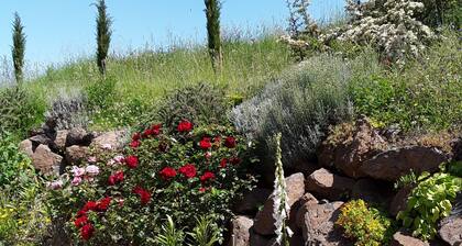 LaPorcilaia Holiday heaven in the heart of Italy Large sunny breathtaking views