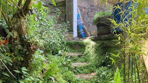 A stone staircase surrounded by lush greenery and a rustic stone wall.