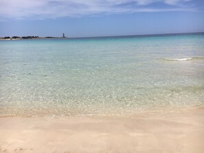 Playa en los alrededores 