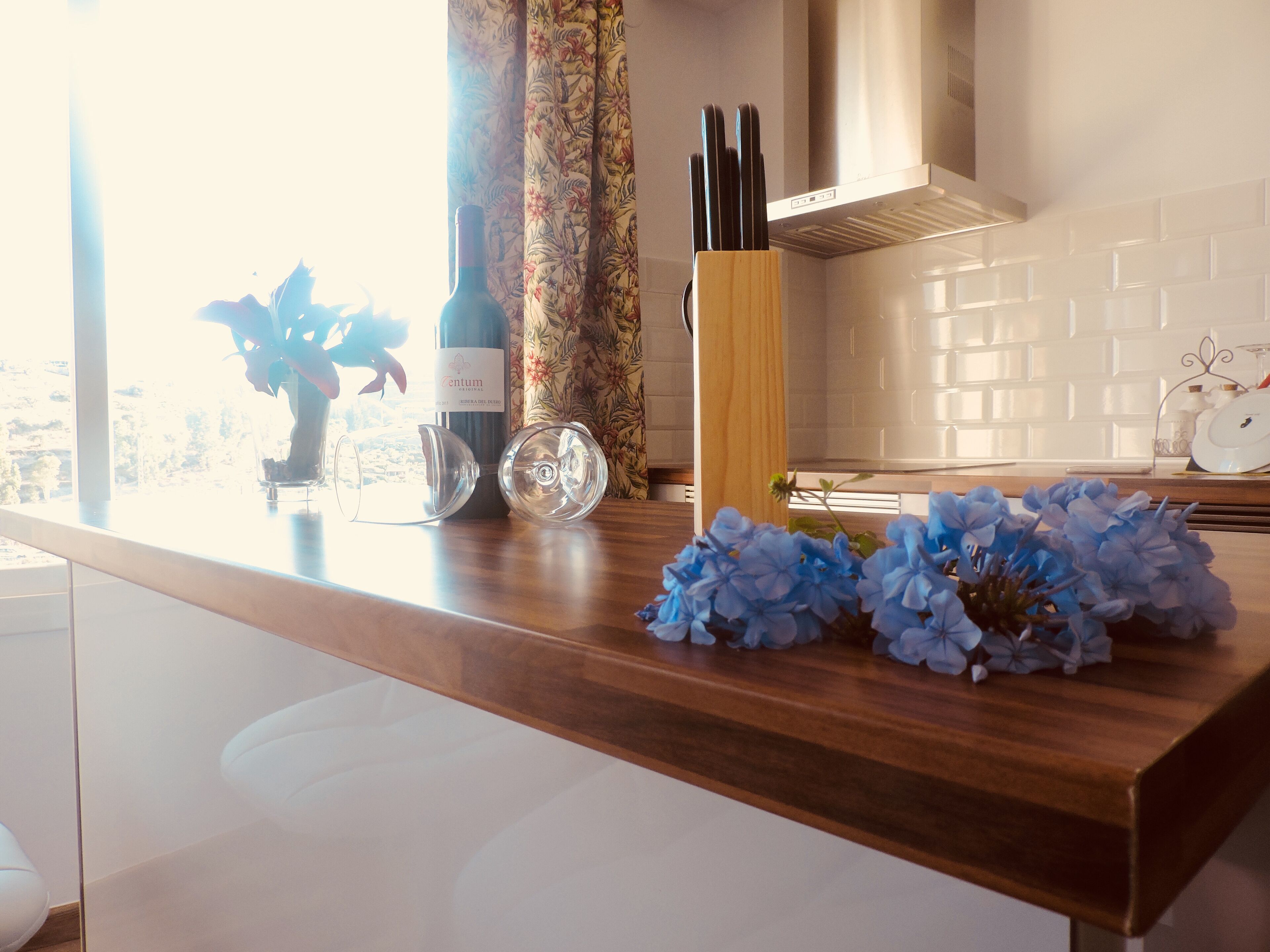 Apartment in "The best climate in Europe"