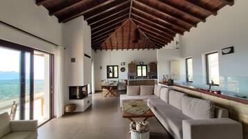 Smart TV, fireplace, books, stereo