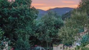 A residential area with a paved pathway, a gated entrance, and dense greenery. - Large fully air conditioned luxury villa with pool in beautiful location (Reynès)