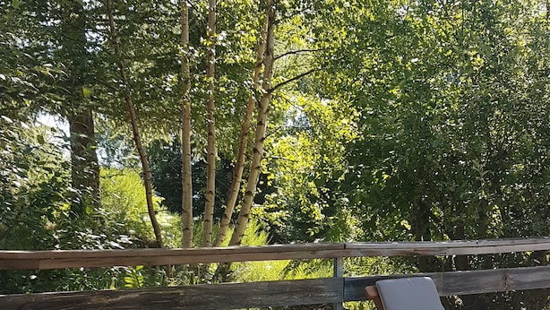 A wooden table with a basket, a mug, and glasses of orange juice. - Appt T4, 8 pers, 84m2 in chalet in calm close tracks, Ax 3 Domaines Bonascre (Ax-Les-Thermes)